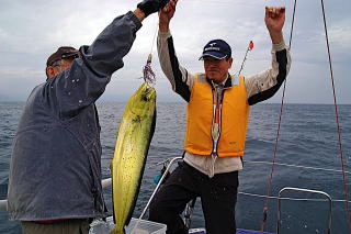 釣り果はシイラでした