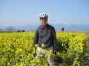 Inachan in the field of flowers