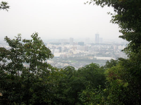 The view of downtown Osaka from the restaurant